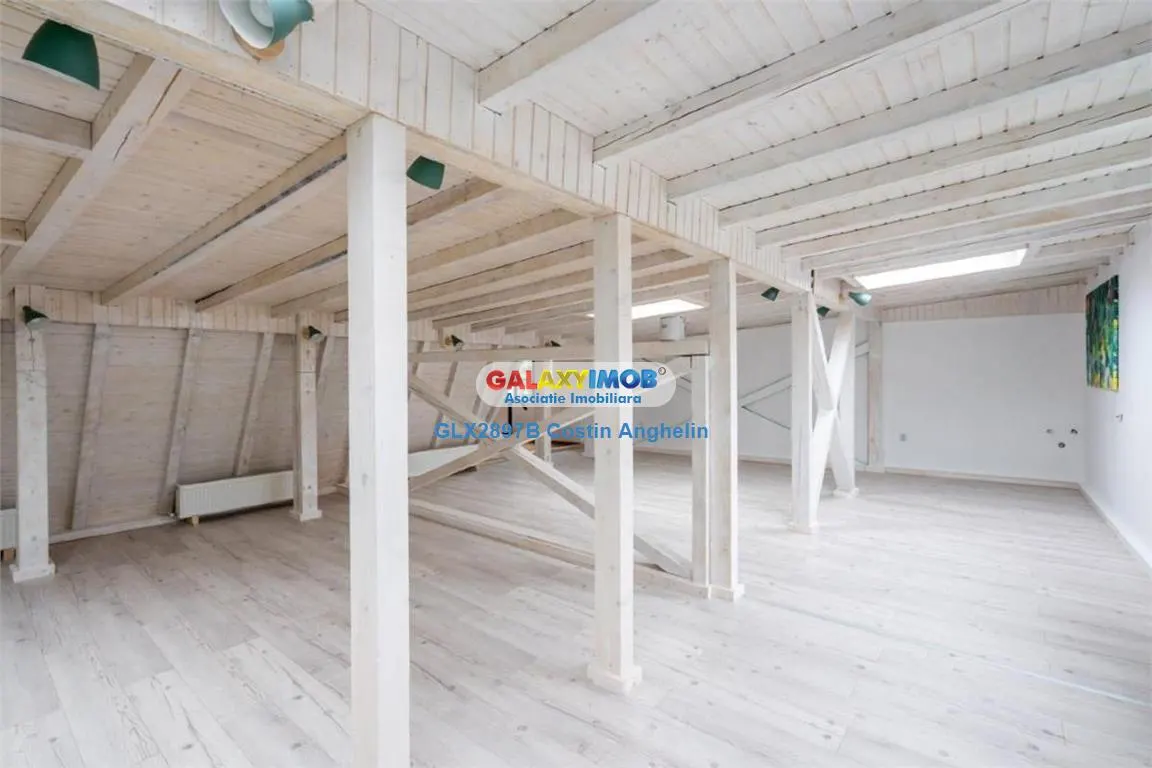 Vila Lux 5 Camere - Romana - foto 15
