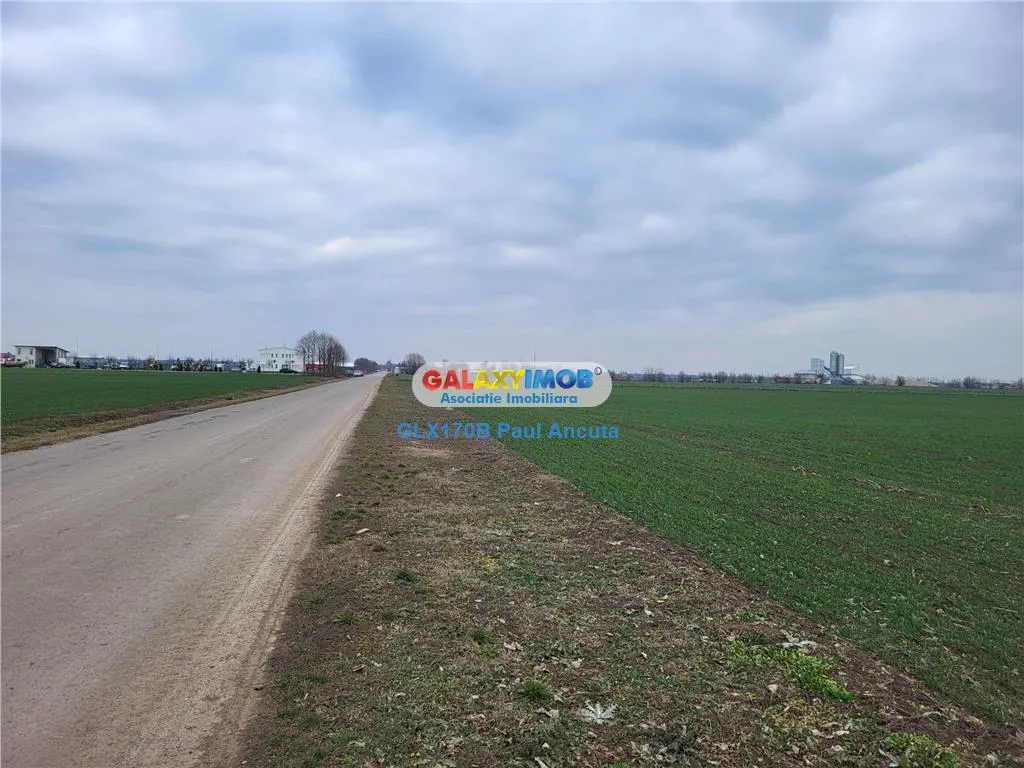 Teren Moara Vlasiei 65000 mp Industrial utilitati apropiere Nod A3 - foto 4