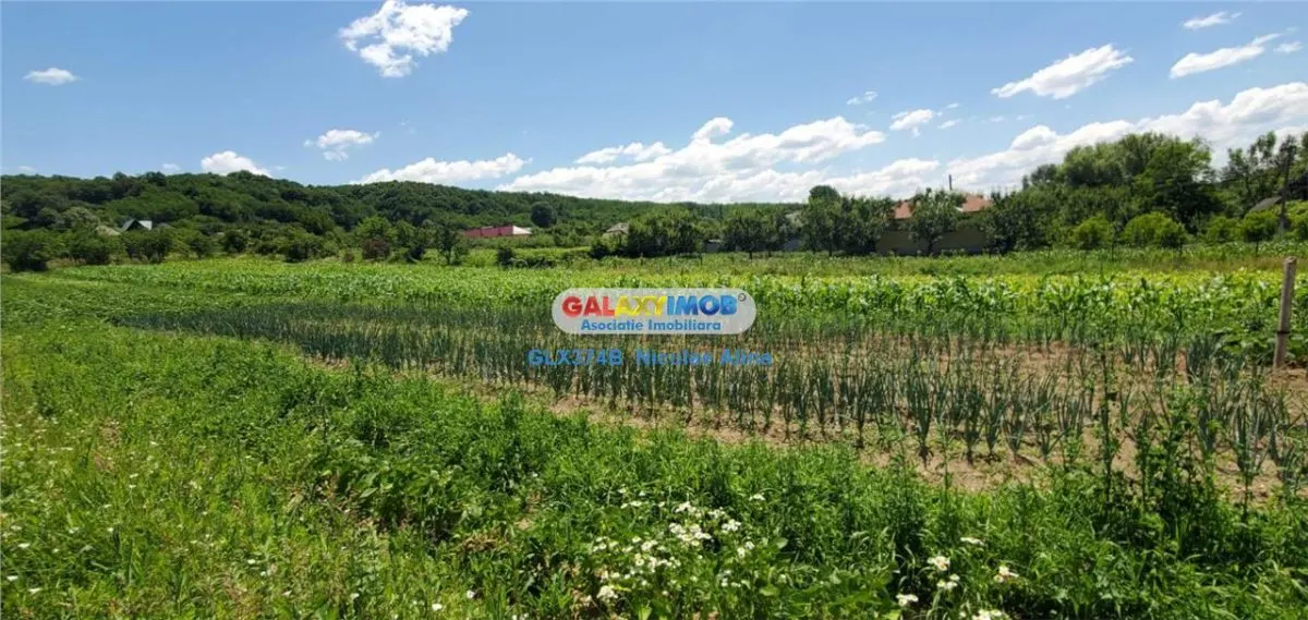 Teren intravilan comuna Bogati sat Birloi Jud. Arges - foto 6