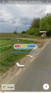 Vanzare teren 8800mp Dascalu Moara Vlasiei padurea Biglaru - Dascalu