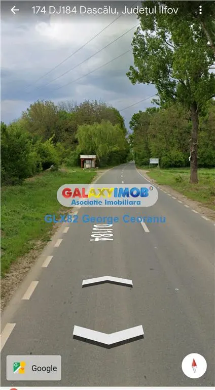 Vanzare teren 8800mp Dascalu Moara Vlasiei padurea Biglaru - foto 5
