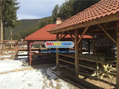 Vanzare Pensiune/Casa vacanta Moeciu de sus - foto 15