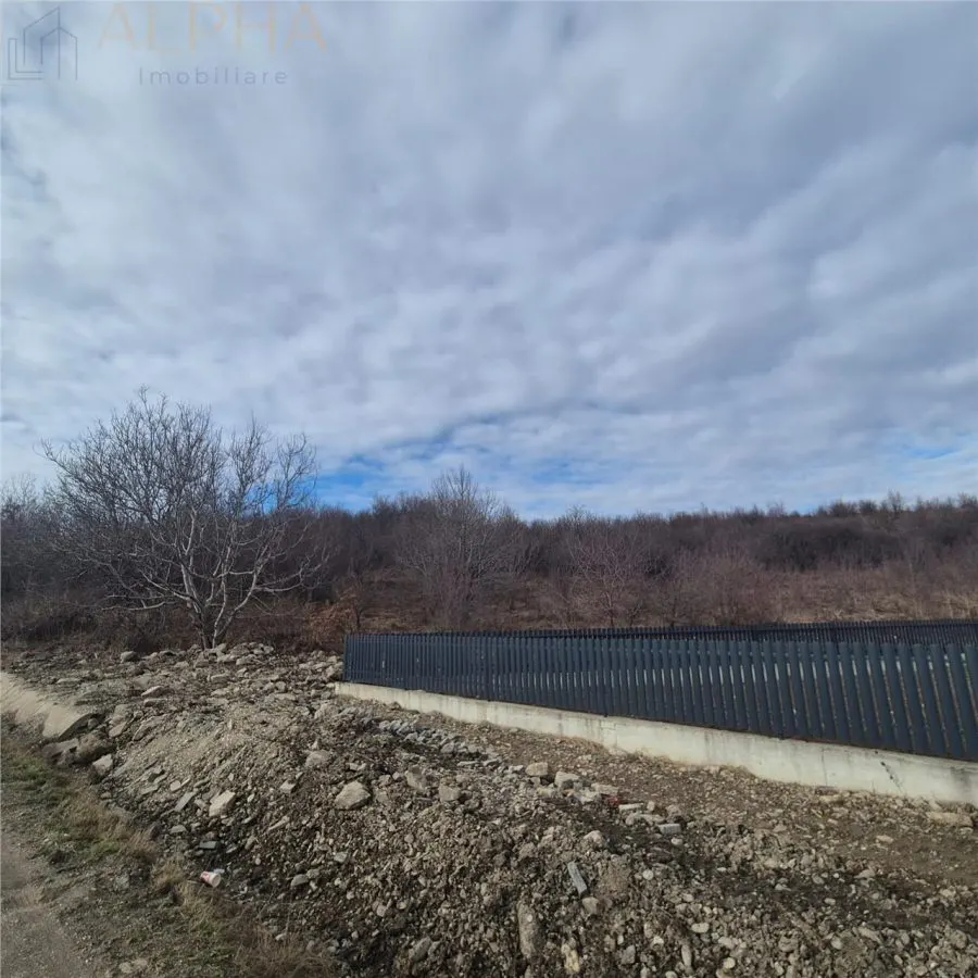 Teren intravilan de vanzare â€“ Sigmir, Str. Soarelui - foto 3