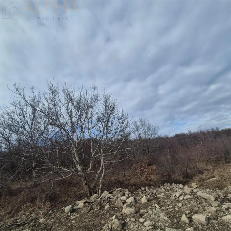 Teren intravilan de vanzare â€“ Sigmir, Str. Soarelui - foto 4