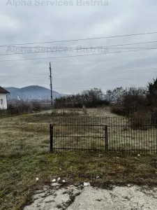 Teren de vanzare 25 arii - Viisoara