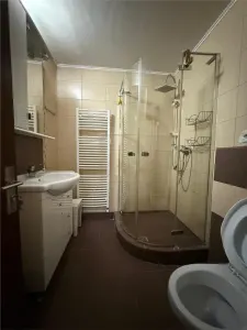 Pacurari - Petru Poni , apartament 3 camere etaj 3/4 - foto 11