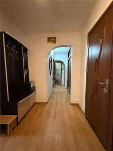 Pacurari - Petru Poni , apartament 3 camere etaj 3/4 - foto 9