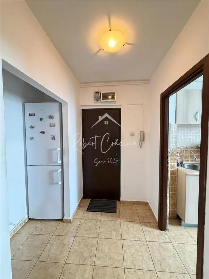 Apartament 2 minute metrou Constantin Brancusi - foto 16