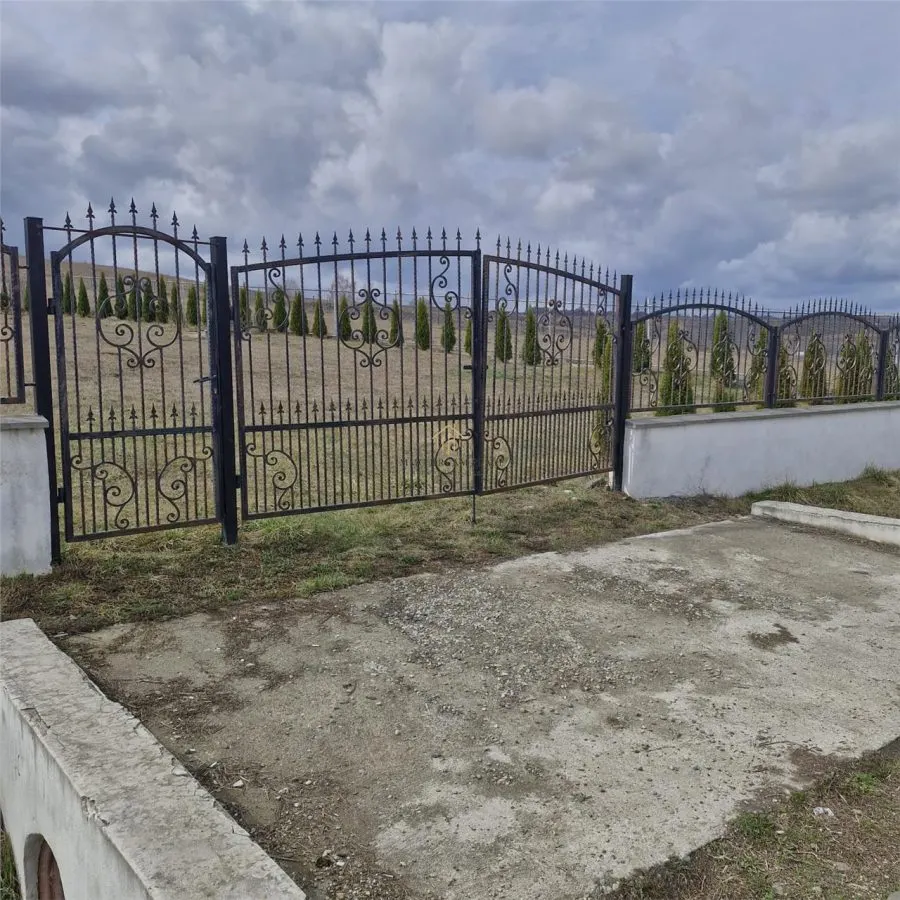 Teren extravilan de vanzare in Salistea Veche - foto 2