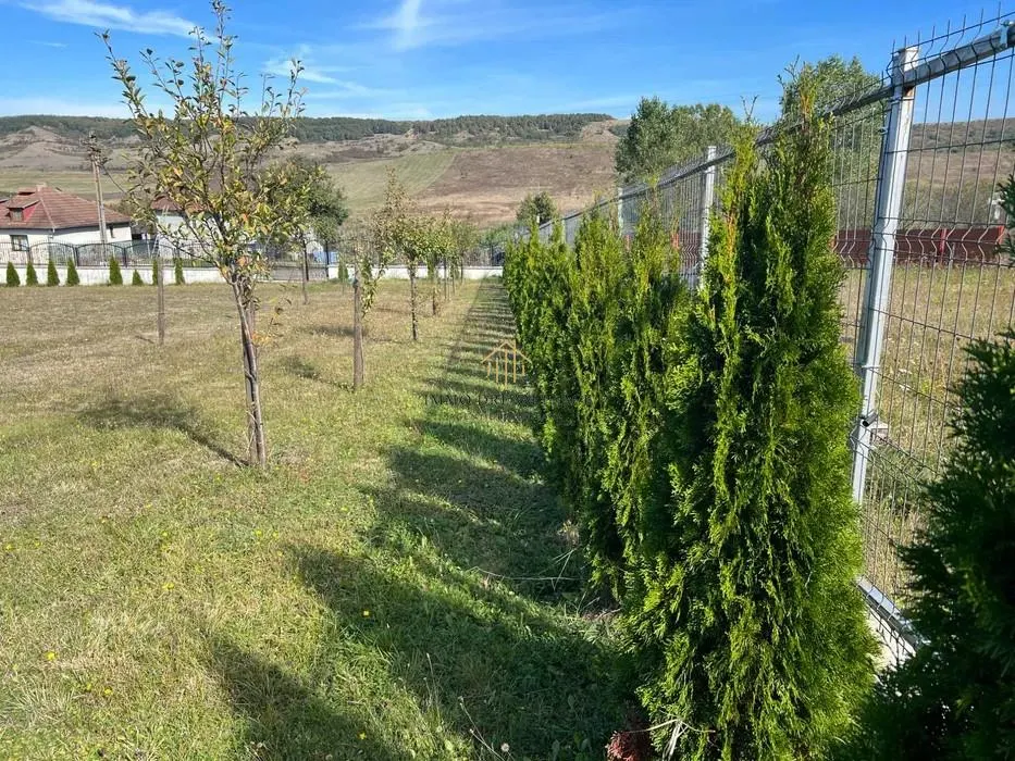 Teren extravilan de vanzare in Salistea Veche - foto 8