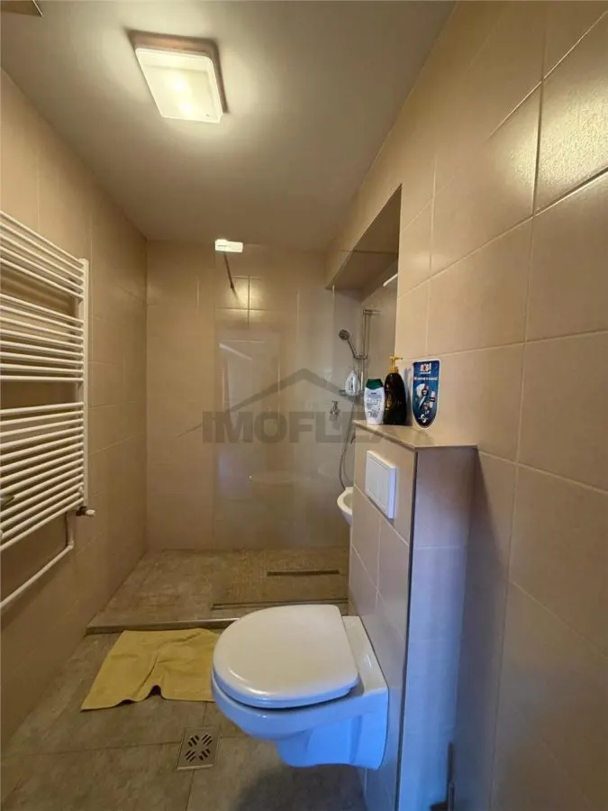 Studio de inchiriat, zona Brasovul Vechi - foto 2
