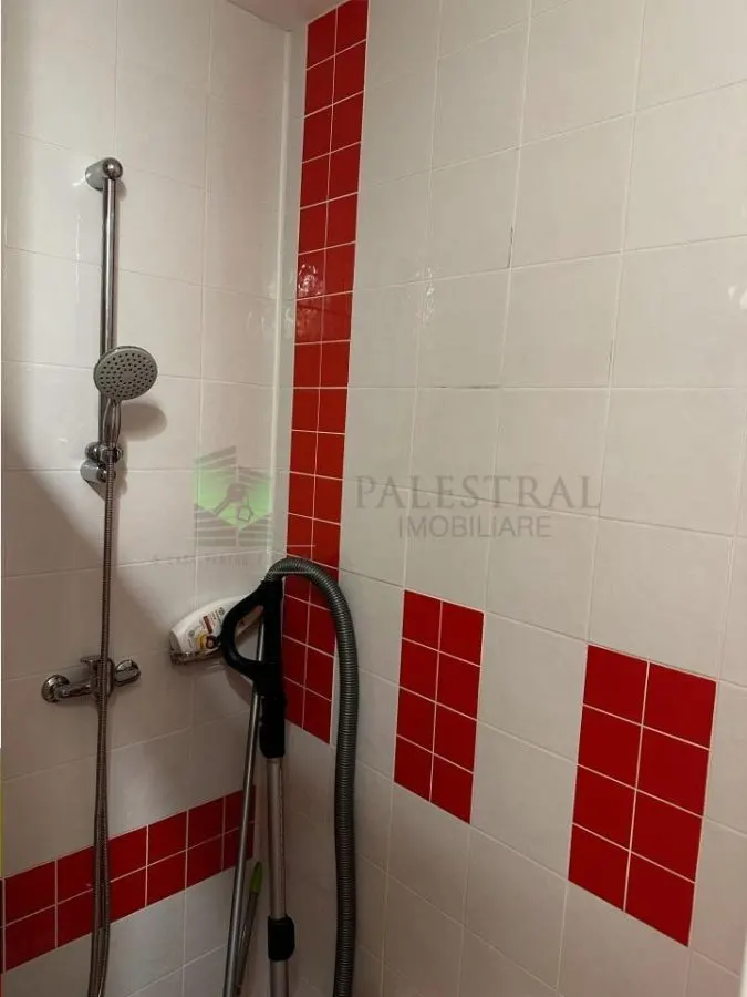 Apartament 2 camere decomandata, zona Judetean,mobilat,108000 Euro - foto 5