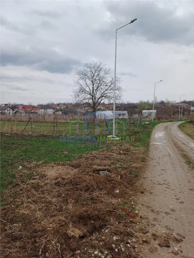 TEREN INTRAVILAN FILIASI - foto 2