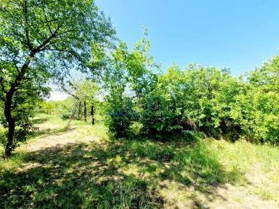 Casa caramida si 3742 mp teren intravilan - Cosoveni