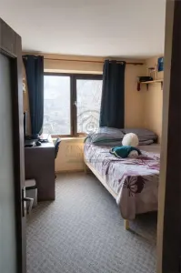 Casa de vanzare Raducaneni Iasi + 4000 mp teren - foto 14