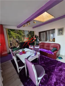 Vanzare vila 4 camere Colentina-Gherghitei - foto 10