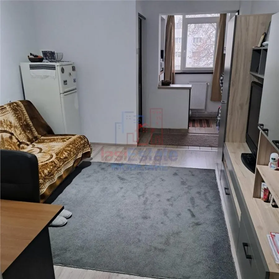Garsoniera in zona Alexandru cel Bun - foto 1