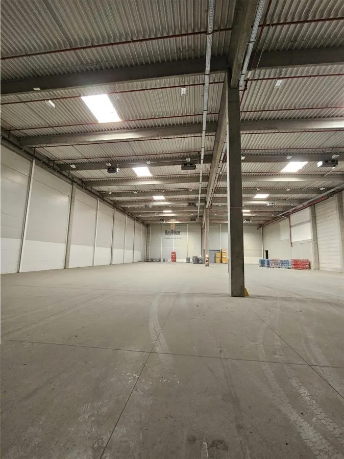 Spatiu Industrial - 6700 mp - Logistica - Productie - Depozitare - Distributie - foto 2
