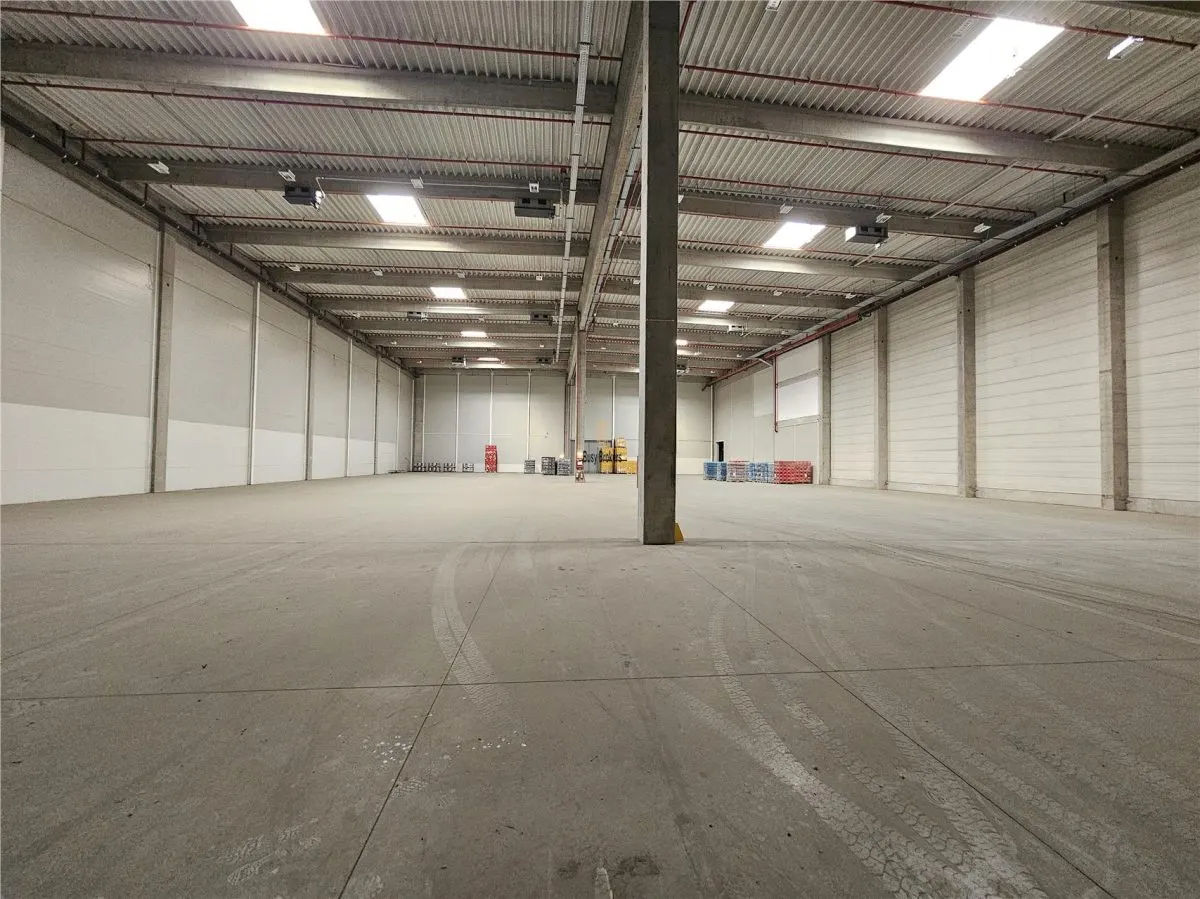 Spatiu Industrial - 6700 mp - Logistica - Productie - Depozitare - Distributie - foto 6