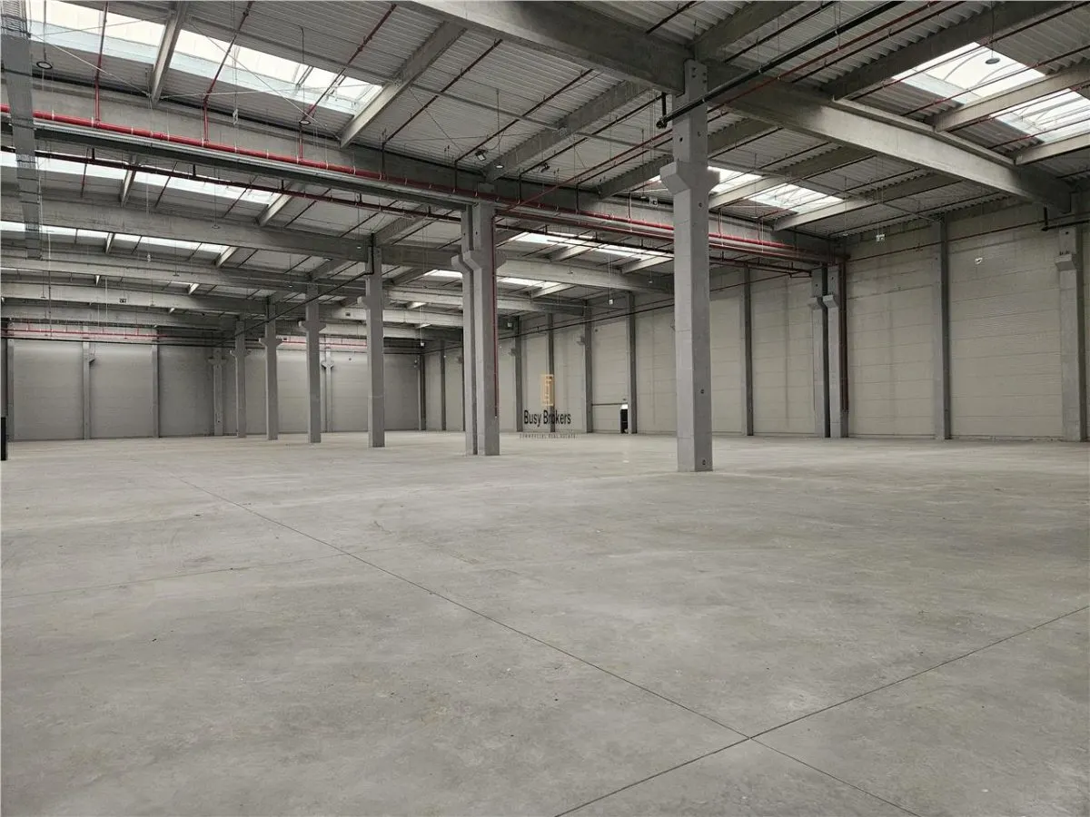 Spatiu Industrial - 8200 mp - Logistica - Depozitare - Distributie - foto 3