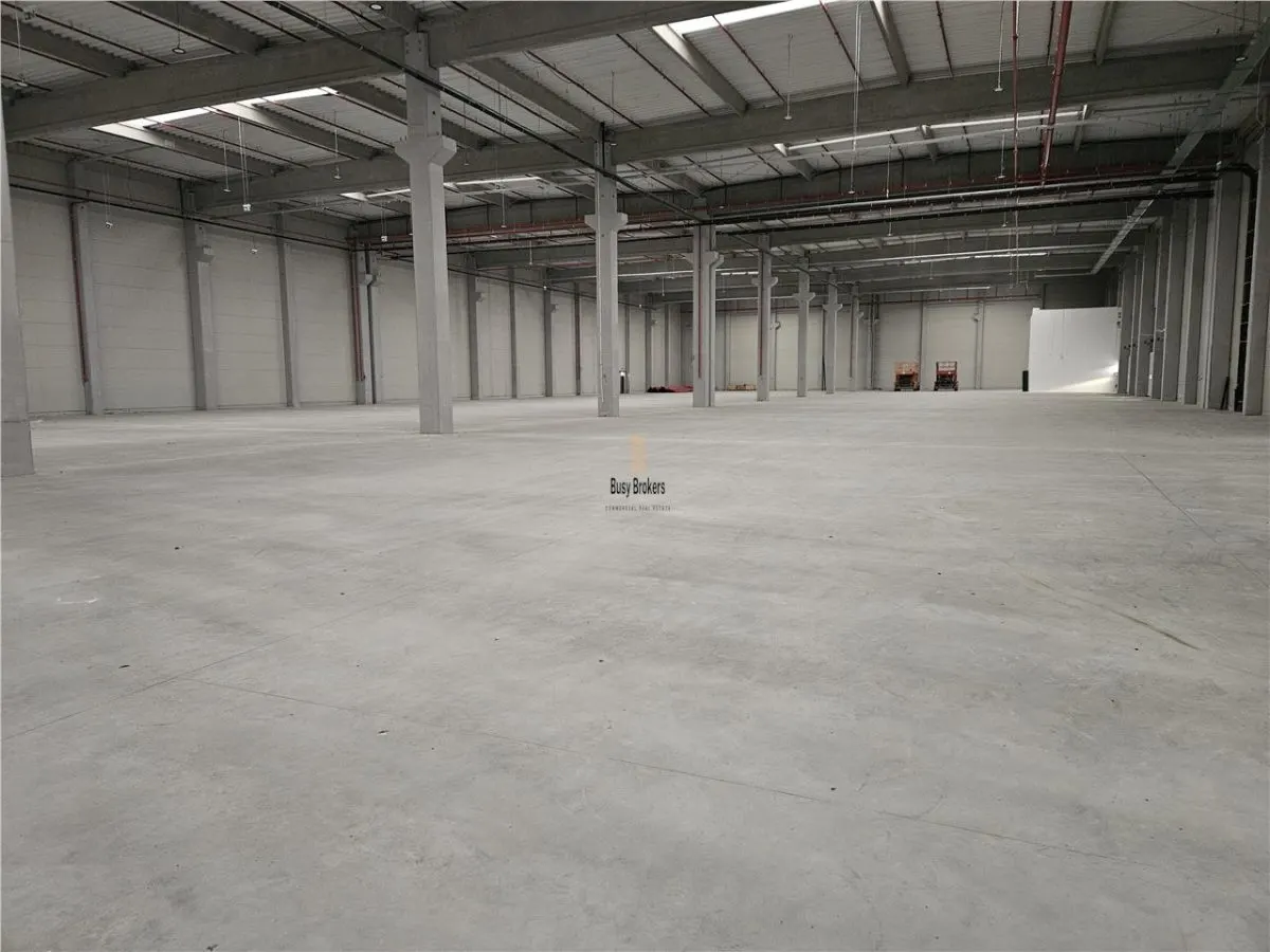 Spatiu Industrial - 8200 mp - Logistica - Depozitare - Distributie - foto 4