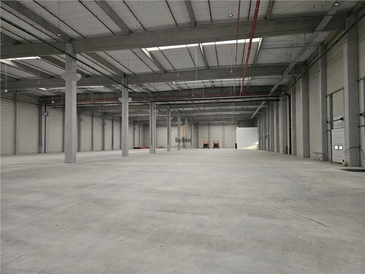 Spatiu Industrial - 8200 mp - Logistica - Depozitare - Distributie - foto 8
