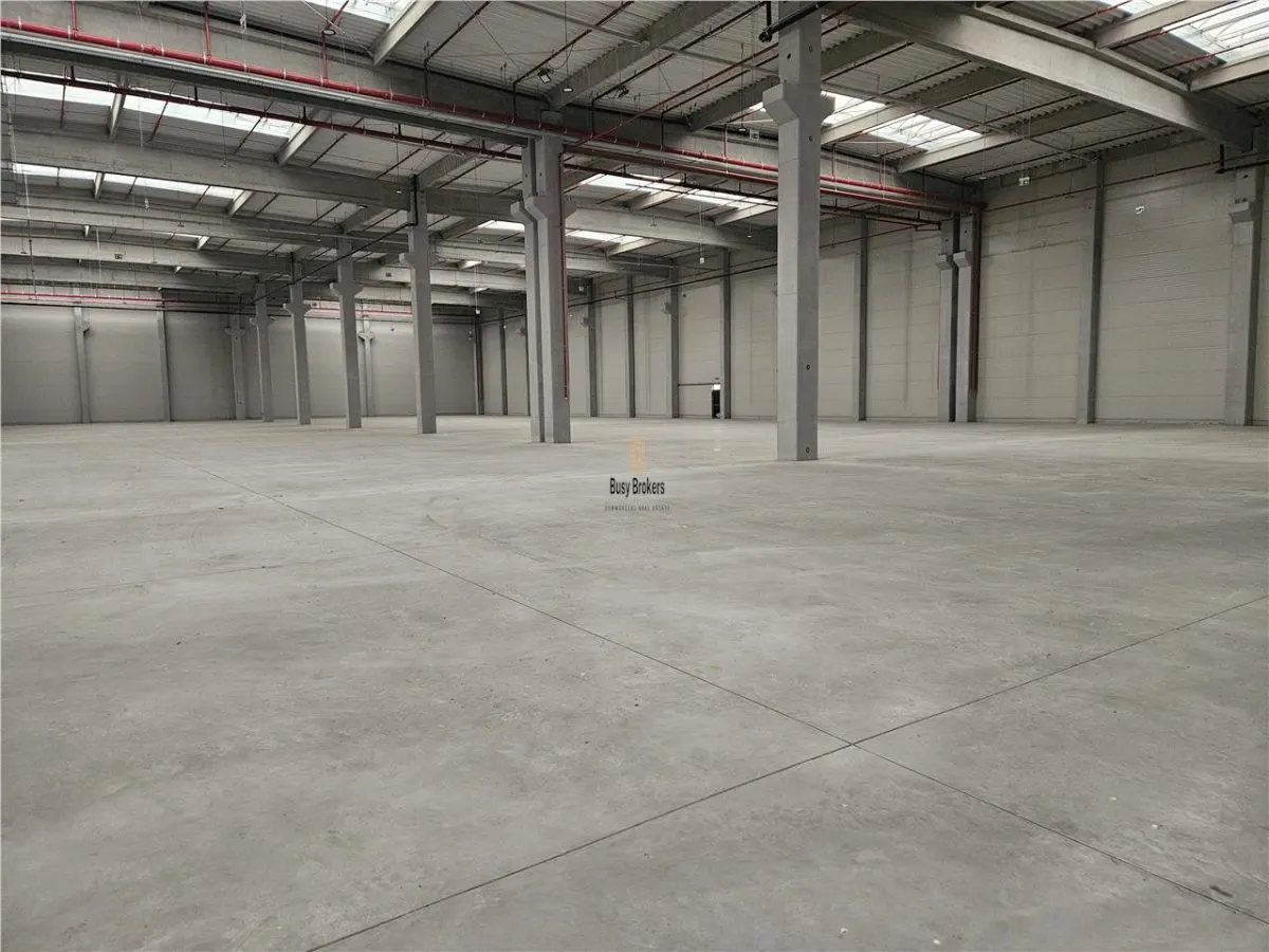 Spatiu Industrial - 4300 mp - Logistica - Depozitare - Distributie - foto 5
