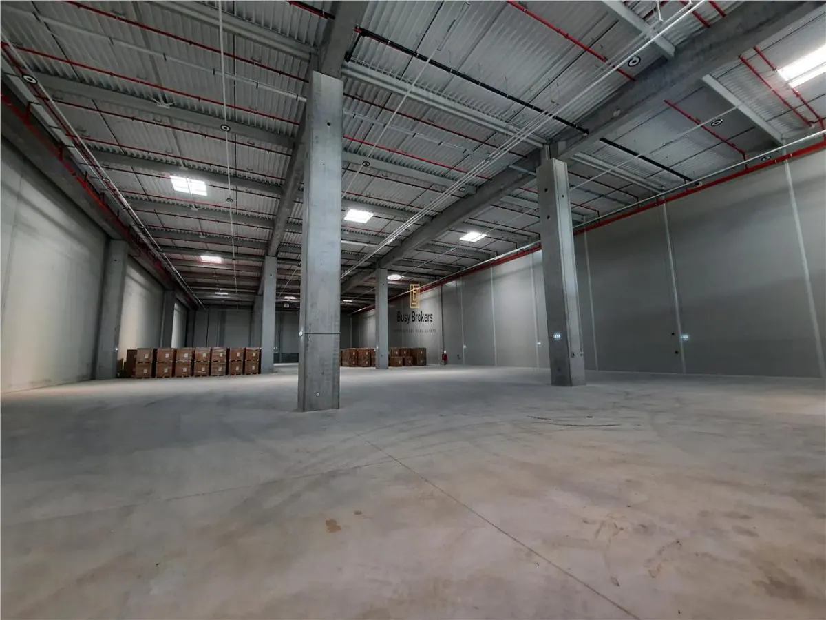 Spatiu Industrial - 4300 mp - Logistica - Depozitare - Distributie - foto 9