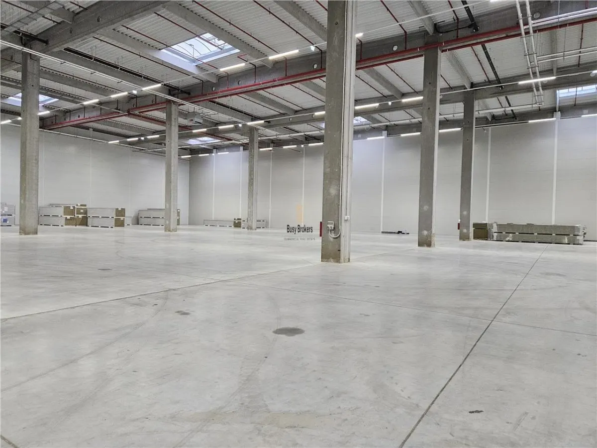 Spatiu Industrial - 5500 mp - Logistica - Productie - Depozitare - Distributie - foto 2