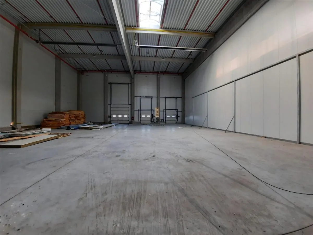 Spatiu Industrial - 5500 mp - Logistica - Productie - Depozitare - Distributie - foto 20