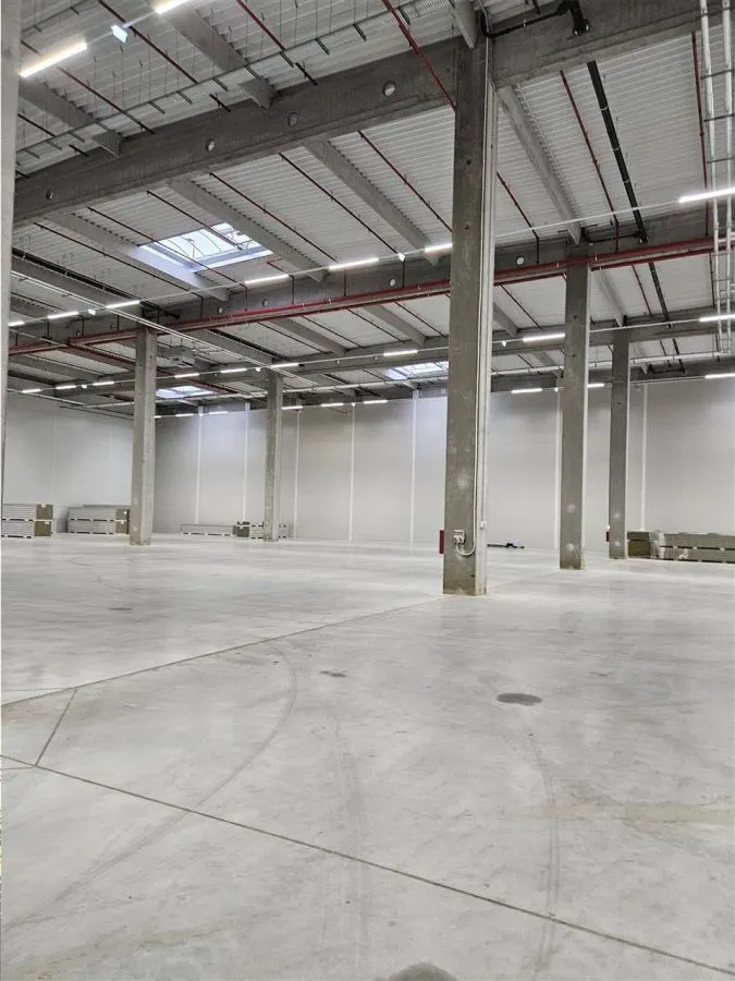 Spatiu Industrial - 5500 mp - Logistica - Productie - Depozitare - Distributie - foto 3