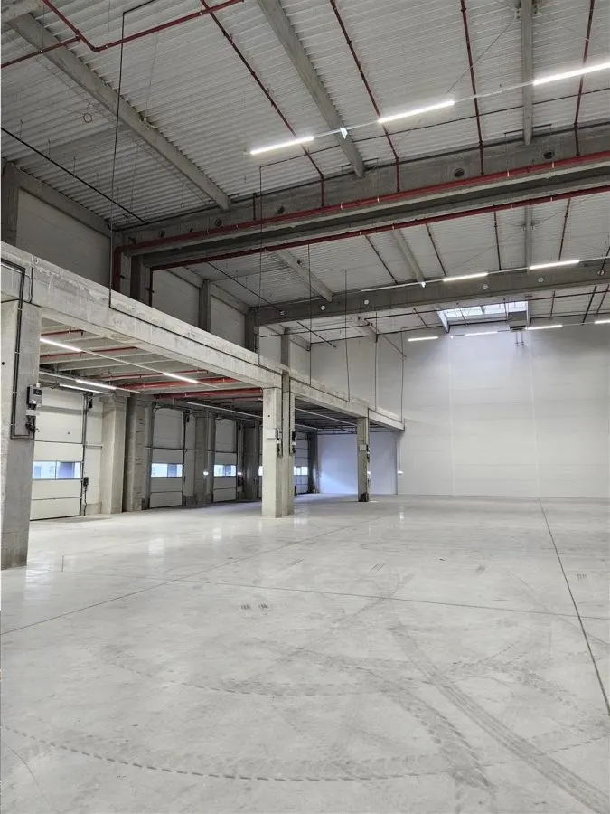 Spatiu Industrial - 5500 mp - Logistica - Productie - Depozitare - Distributie - foto 4