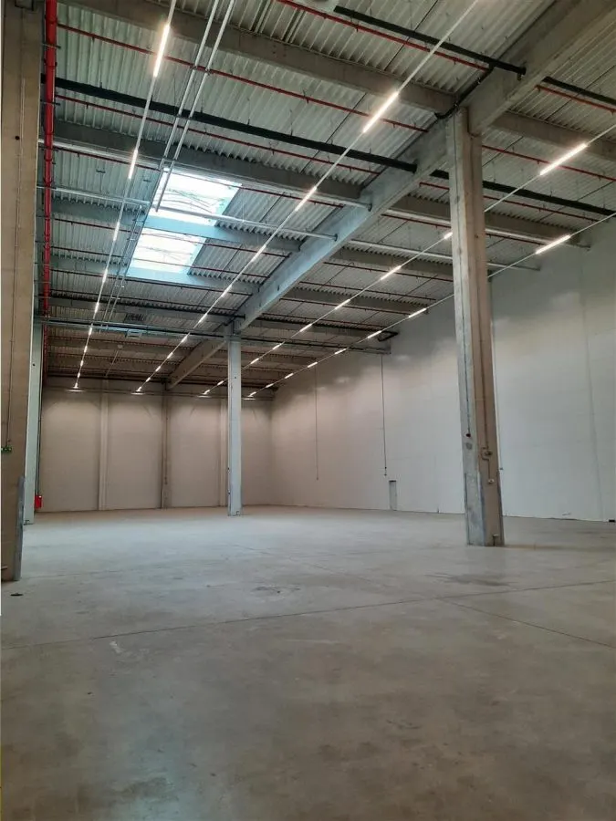 Spatiu Industrial - 5500 mp - Logistica - Productie - Depozitare - Distributie - foto 8