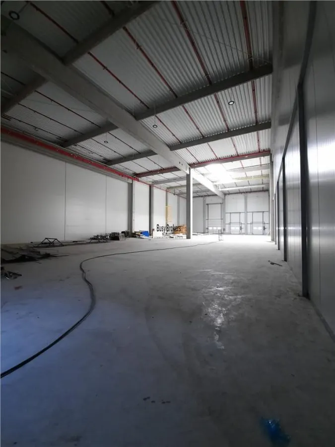 Spatiu Industrial - 5500 mp - Logistica - Productie - Depozitare - Distributie - foto 10