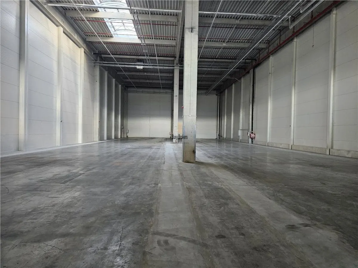 Spatiu Industrial - 3500 mp - Logistica - Productie - Depozitare - foto 15