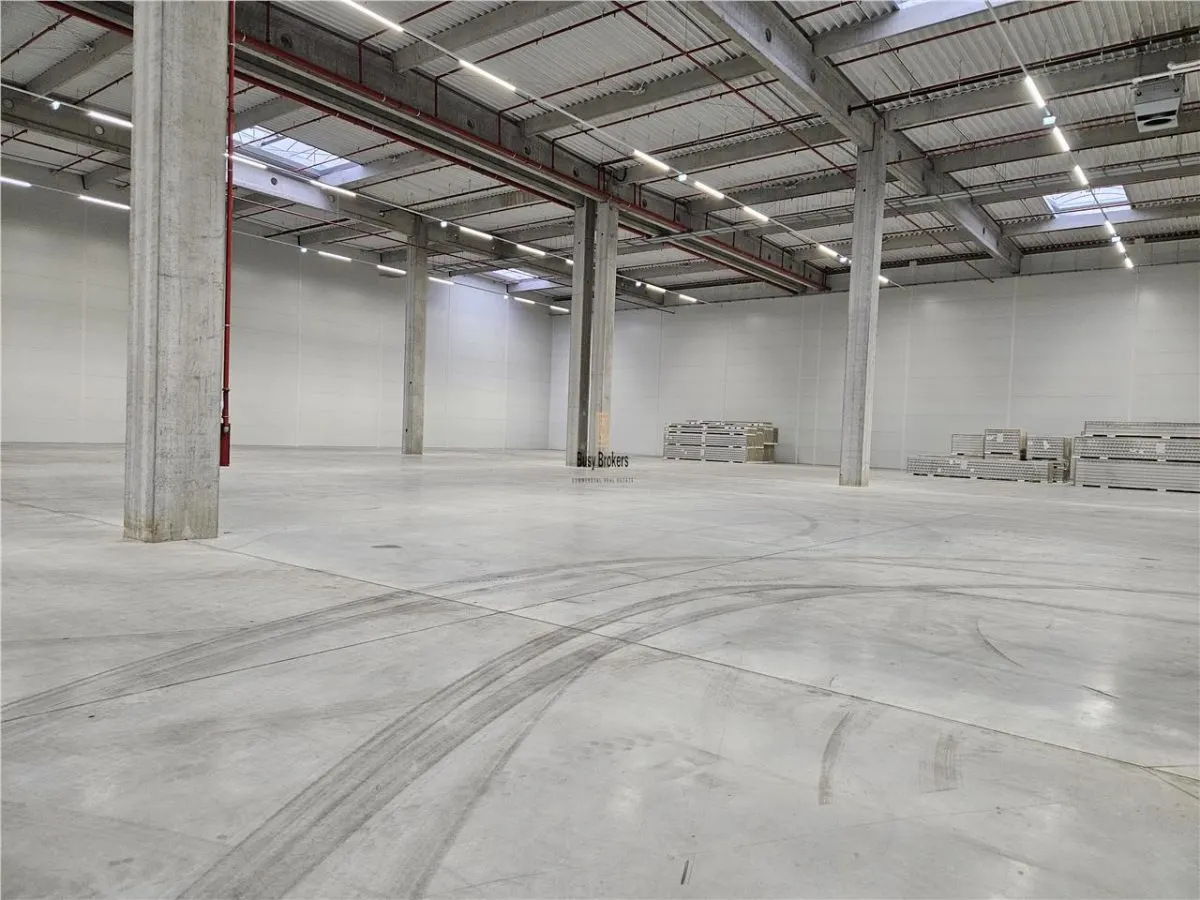 Spatiu Industrial - 3500 mp - Logistica - Productie - Depozitare - foto 9
