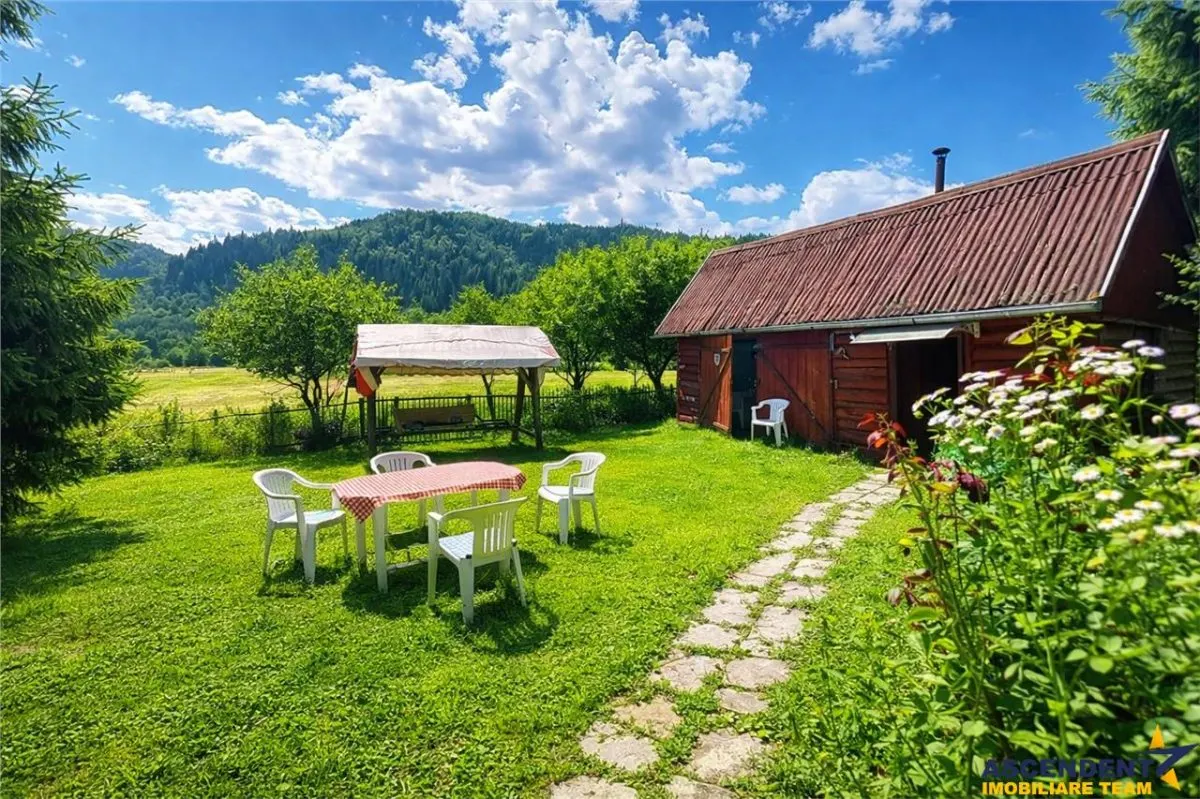 Tur 3D&FILM! Refugiu de vacanta, in pitorescul cadru: Lunca Bradului. - foto 3