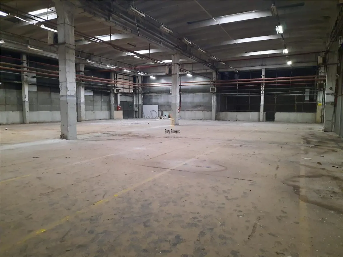 Spatiu Industrial - 5500 mp - Productie - Depozitare - foto 1