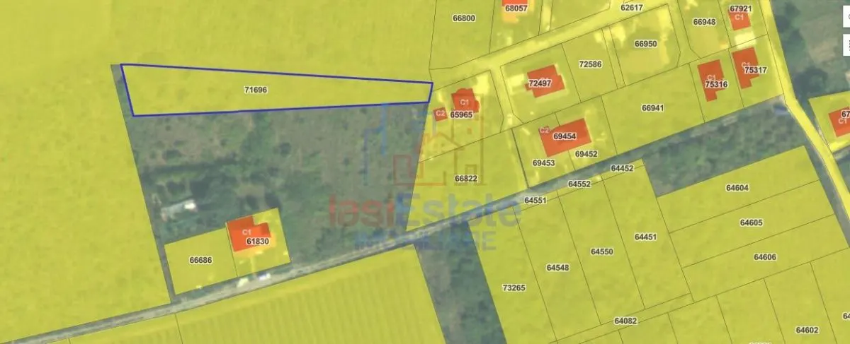 Visan str Valea viilor TEREN 1616mp intravilan lot pt constructie casa - foto 3