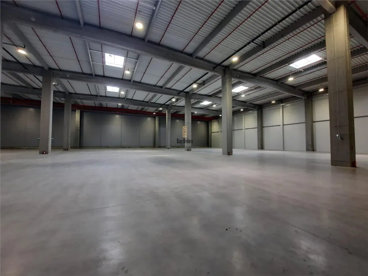 Spatiu Industrial - 5000 mp - Logistica - Productie - Depozitare - Distributie - foto 3