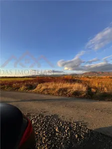 Teren intravilan Mocira, str. Crinului - Mocira