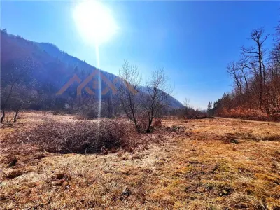 1,10 ha teren intravilan in Baita - foto 6