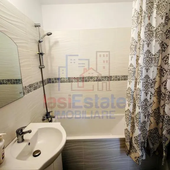 Apartament 1 camera Pacurari - Moara de Foc - foto 7