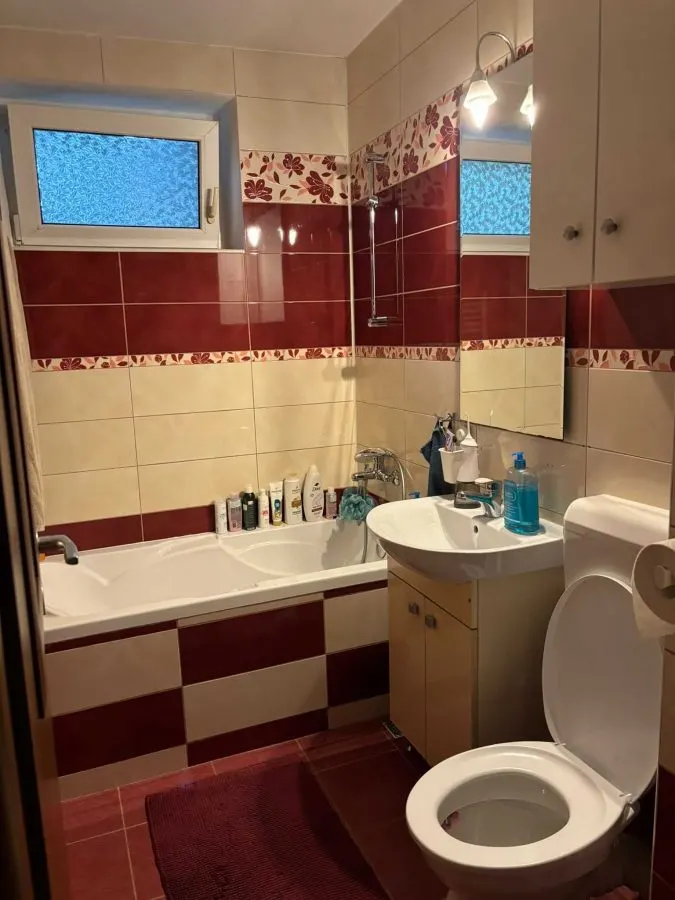 Apartament 4 Camere Harmanului, Brasov - foto 3