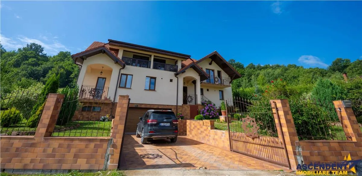 Refined ensemble, elite natural setting, 5 km from Corvin Castle. - foto 15