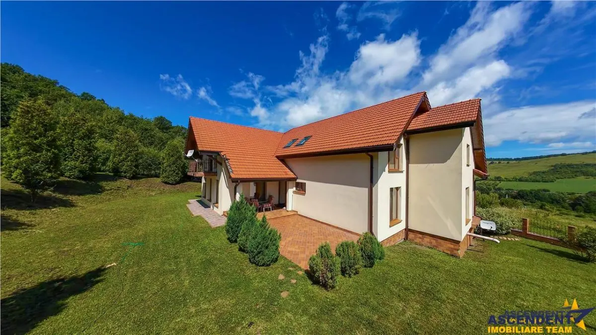 Refined ensemble, elite natural setting, 5 km from Corvin Castle. - foto 22