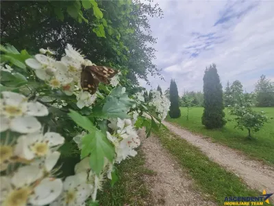 Refugiu idilic cu oglinda de apa, panorama montana, Glajerie/Rasnov, ideal mini resort - foto 19