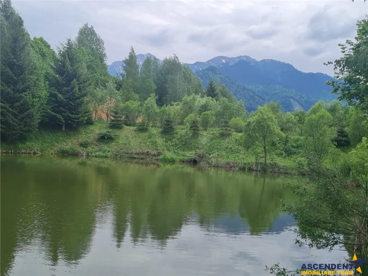 Refugiu idilic cu oglinda de apa, panorama montana, Glajerie/Rasnov, ideal mini resort - foto 20
