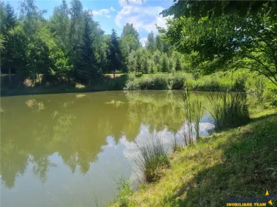 Refugiu idilic cu oglinda de apa, panorama montana, Glajerie/Rasnov, ideal mini resort - foto 22