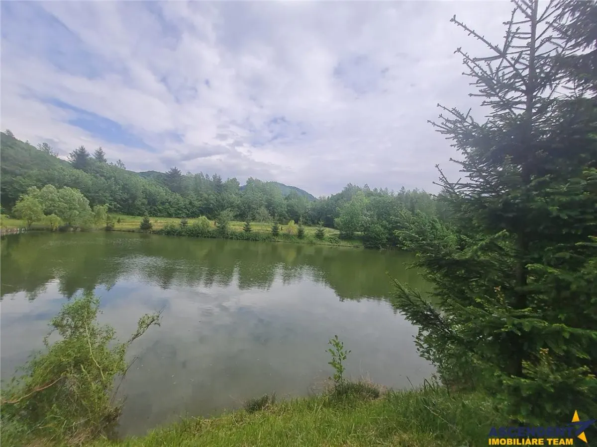 Refugiu idilic cu oglinda de apa, panorama montana, Glajerie/Rasnov, ideal mini resort - foto 24
